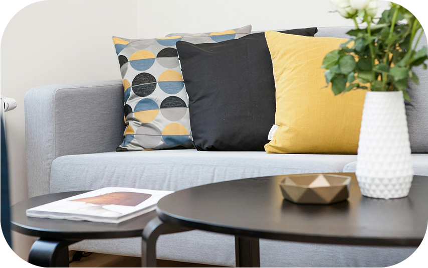 Apartment Paint Ideas to Transform Small Spaces into Stylish Homes